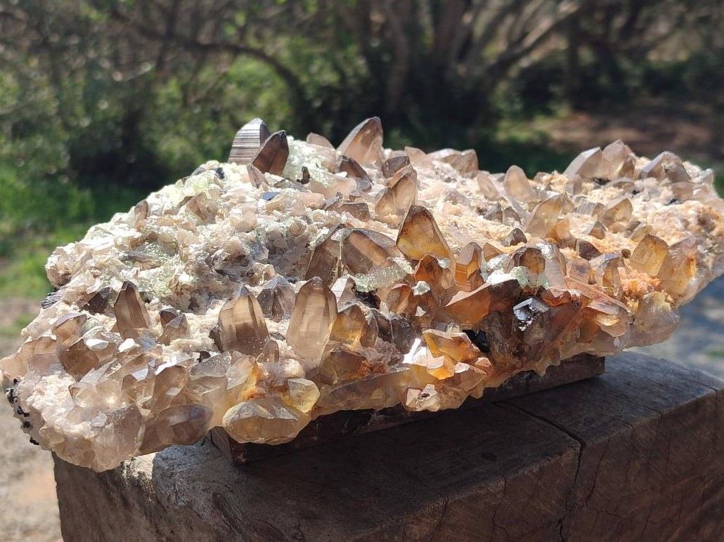 Natural Large Smokey Quartz Cluster with Hyalite Opal x 1 From Erongo, Namibia - Toprock Gemstones and Minerals 