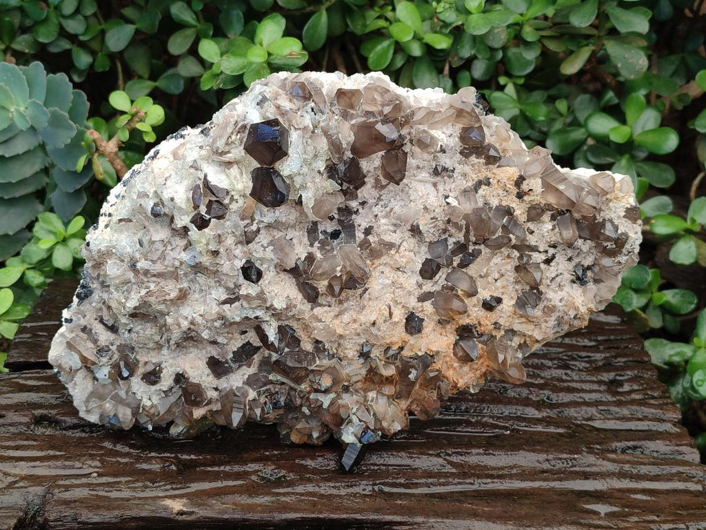 Natural Large Smokey Quartz Cluster with Hyalite Opal x 1 From Erongo, Namibia - Toprock Gemstones and Minerals 