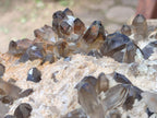 Natural Large Smokey Quartz Cluster with Hyalite Opal x 1 From Erongo, Namibia - Toprock Gemstones and Minerals 