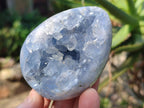 Polished and Natural Blue Celestite Eggs x 6 From Sakoany, Madagascar