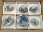 Polished and Natural Blue Celestite Eggs x 6 From Sakoany, Madagascar