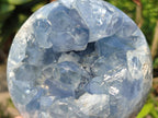 Polished and Natural Blue Celestite Eggs x 6 From Sakoany, Madagascar