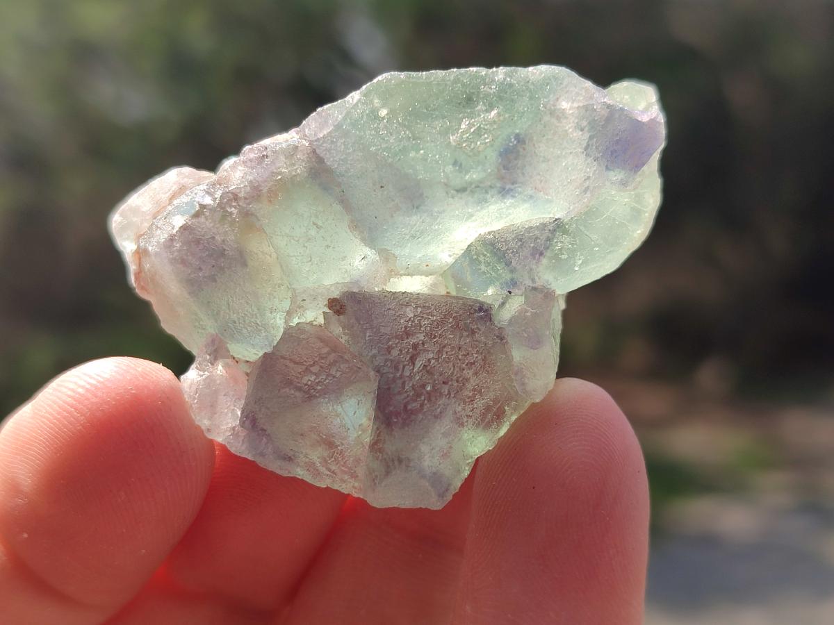 Natural Mix of Fluorite Specimens x 44 From Namibia - Toprock Gemstones and Minerals 