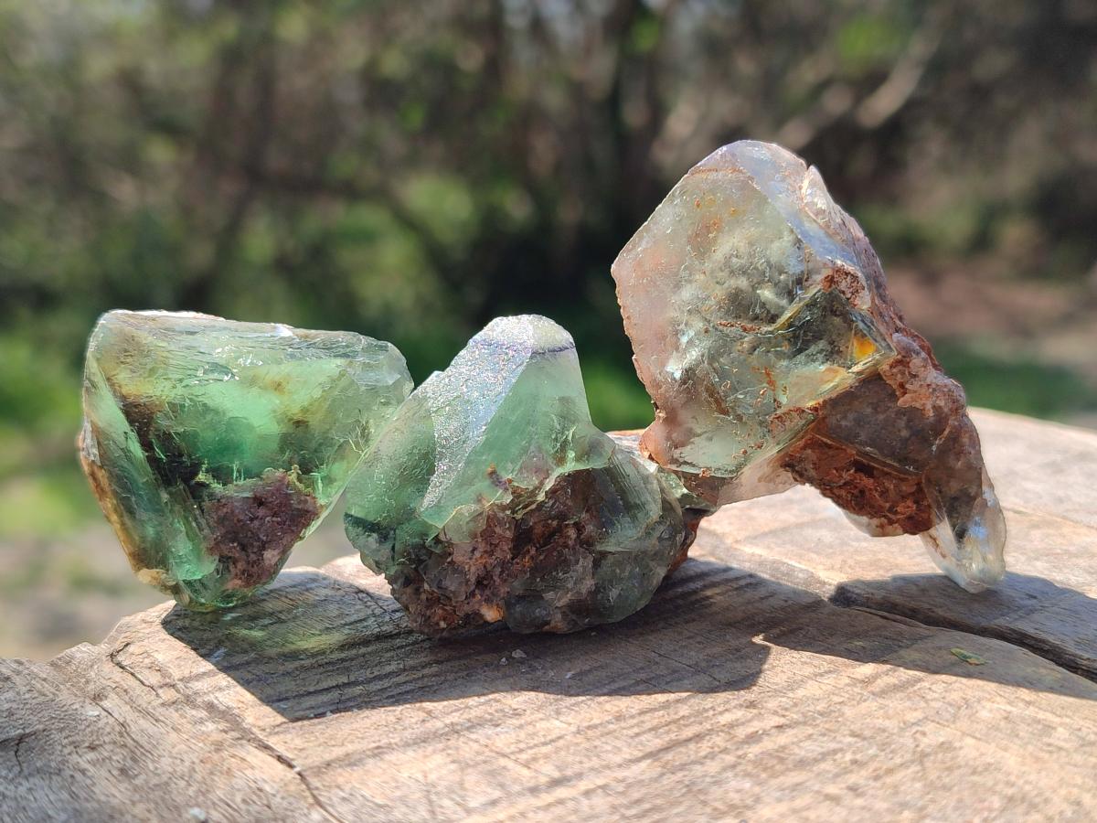 Natural Mix of Fluorite Specimens x 44 From Namibia - Toprock Gemstones and Minerals 