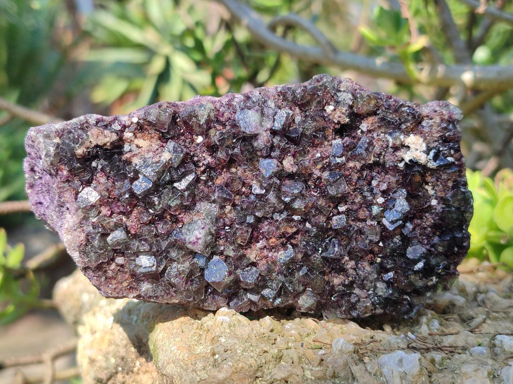 Natural Mix of Fluorite Specimens x 44 From Namibia - Toprock Gemstones and Minerals 