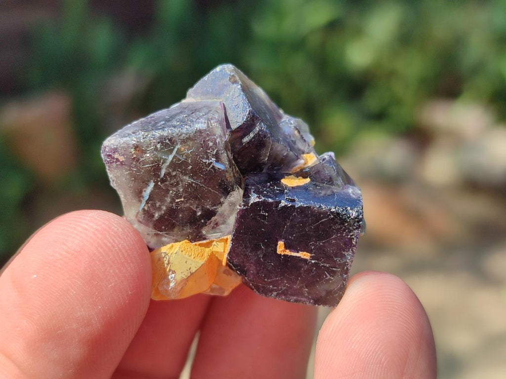 Natural Mix of Fluorite Specimens x 44 From Namibia - Toprock Gemstones and Minerals 