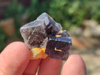 Natural Mix of Fluorite Specimens x 44 From Namibia - Toprock Gemstones and Minerals 