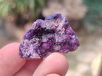 Natural Mix of Fluorite Specimens x 44 From Namibia - Toprock Gemstones and Minerals 
