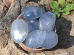 Polished Blue Celestite Free Forms x 35 From Sakoany, Madagascar - Toprock Gemstones and Minerals 