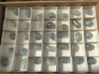 Polished Blue Celestite Free Forms x 35 From Sakoany, Madagascar - Toprock Gemstones and Minerals 