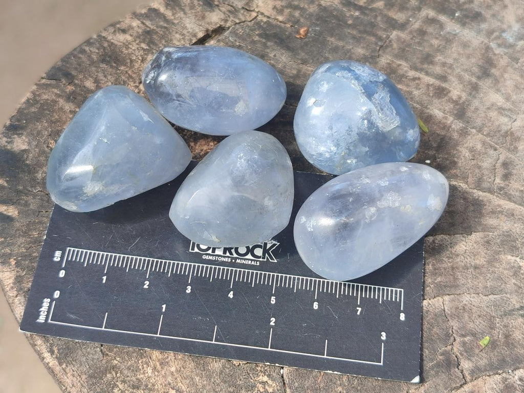 Polished Blue Celestite Free Forms x 35 From Sakoany, Madagascar - Toprock Gemstones and Minerals 