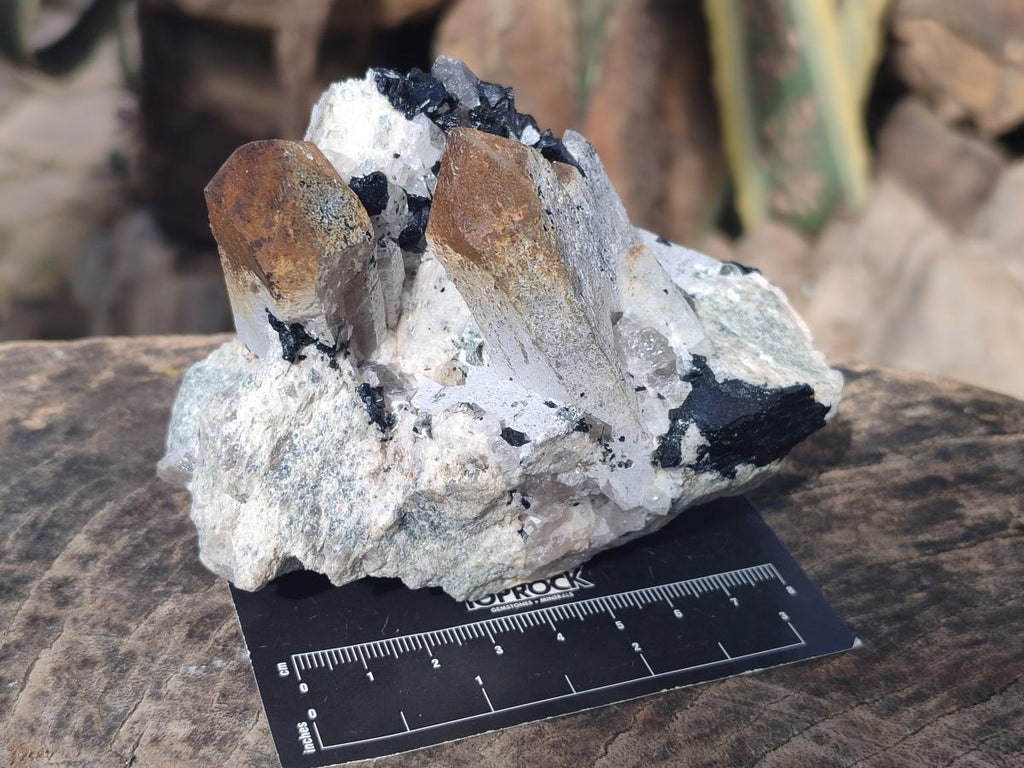 Natural Smokey Quartz Clusters with Associated Minerals x 2 From Erongo, Namibia - Toprock Gemstones and Minerals 