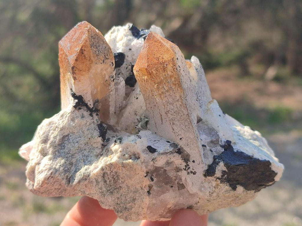 Natural Smokey Quartz Clusters with Associated Minerals x 2 From Erongo, Namibia - Toprock Gemstones and Minerals 