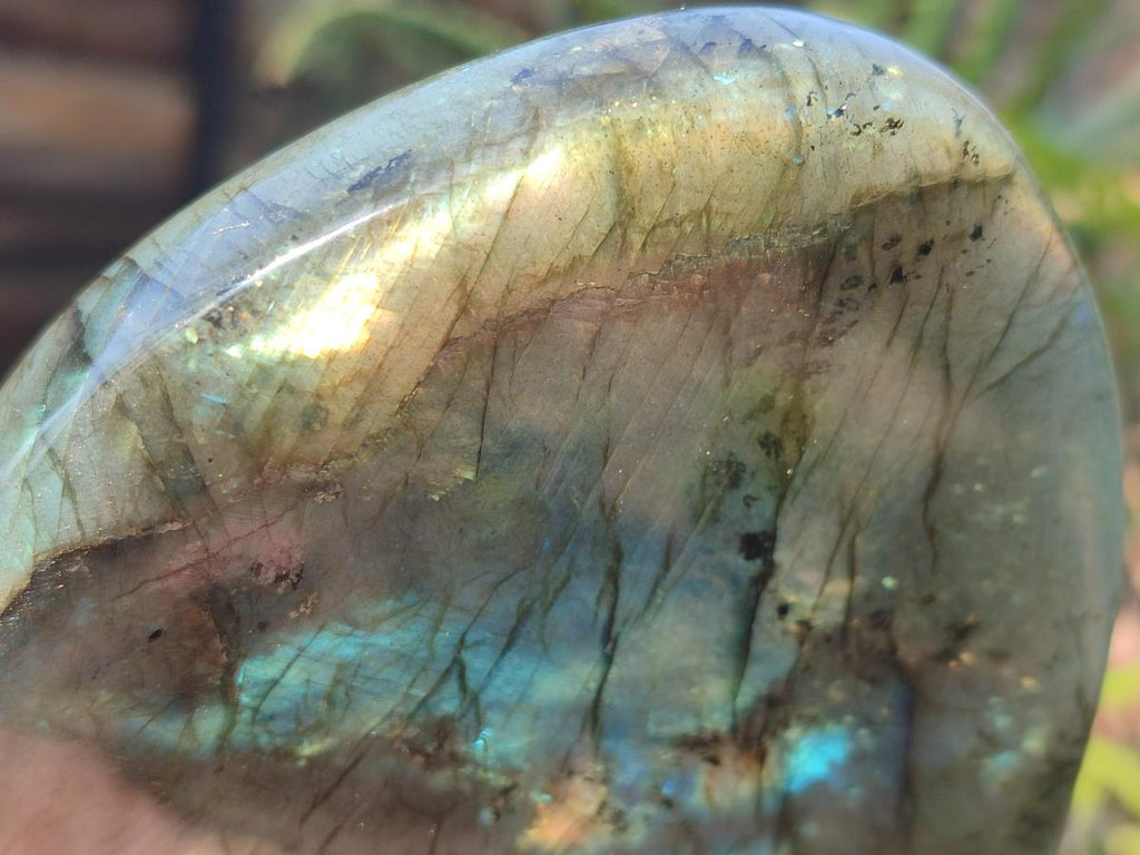 Polished Labradorite Standing Display Pieces x 3 From Madagascar - Toprock Gemstones and Minerals 