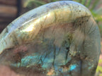 Polished Labradorite Standing Display Pieces x 3 From Madagascar - Toprock Gemstones and Minerals 