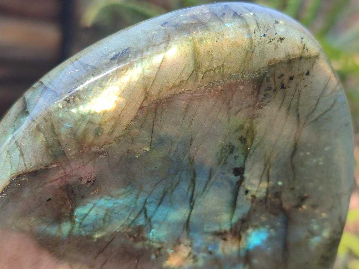 Polished Labradorite Standing Display Pieces x 3 From Madagascar - Toprock Gemstones and Minerals 