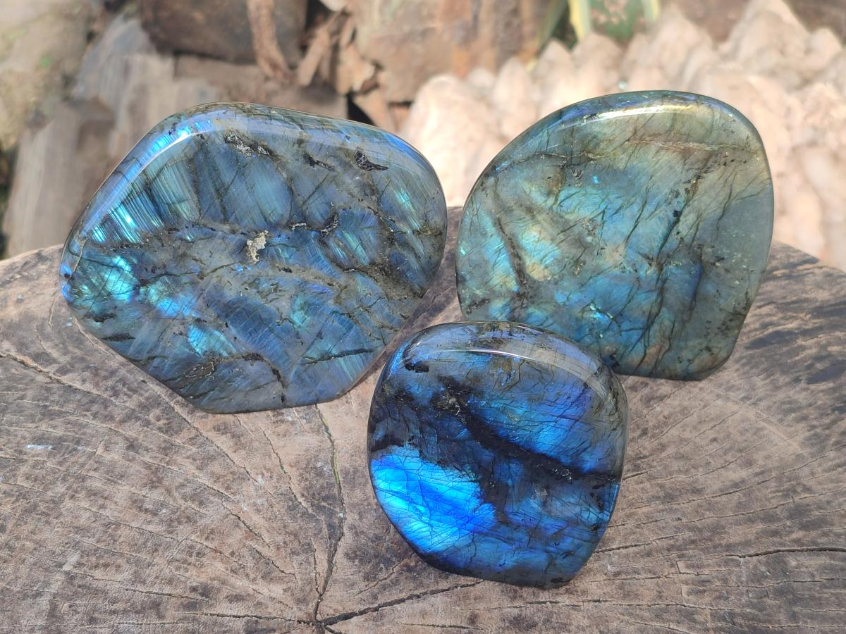 Polished Labradorite Standing Display Pieces x 3 From Madagascar - Toprock Gemstones and Minerals 