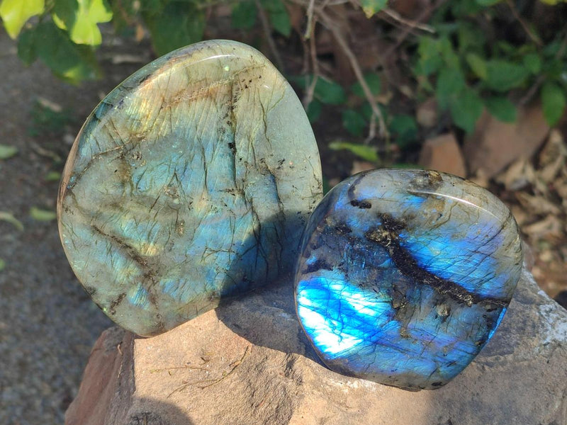 Polished Labradorite Standing Display Pieces x 3 From Madagascar - Toprock Gemstones and Minerals 