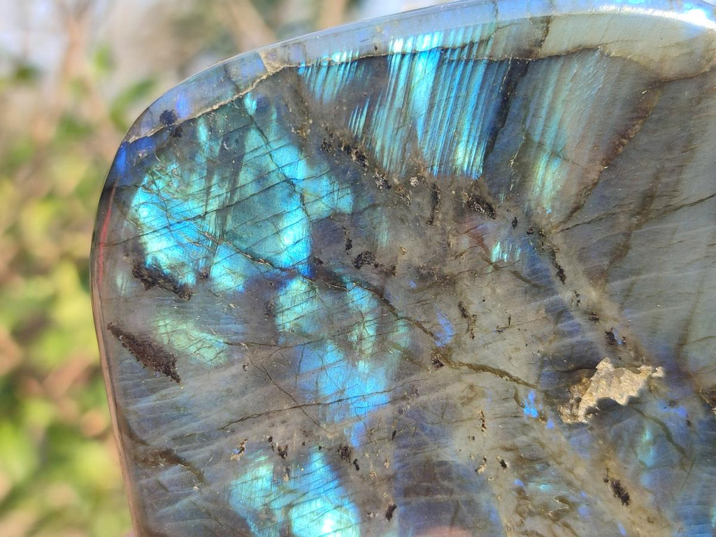 Polished Labradorite Standing Display Pieces x 3 From Madagascar - Toprock Gemstones and Minerals 