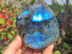 Polished Labradorite Standing Display Pieces x 3 From Madagascar - Toprock Gemstones and Minerals 