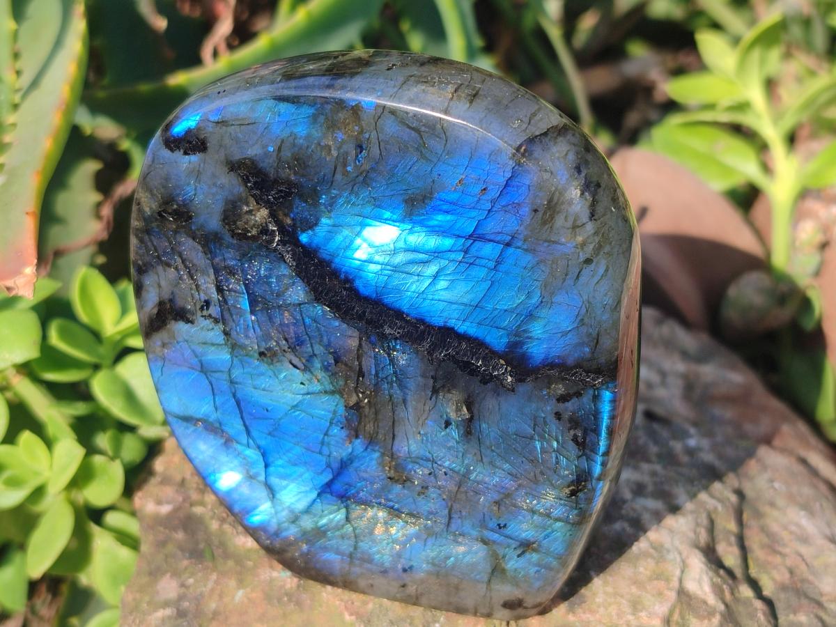 Polished Labradorite Standing Display Pieces x 3 From Madagascar - Toprock Gemstones and Minerals 