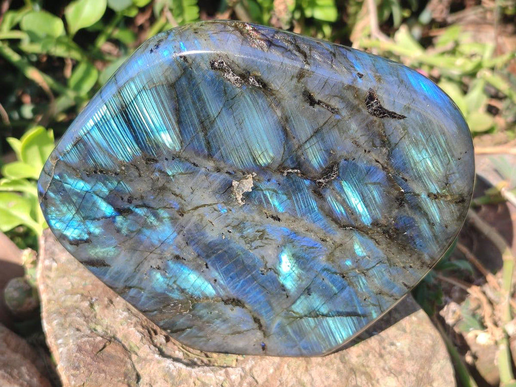 Polished Labradorite Standing Display Pieces x 3 From Madagascar - Toprock Gemstones and Minerals 