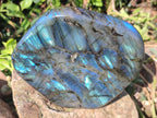Polished Labradorite Standing Display Pieces x 3 From Madagascar - Toprock Gemstones and Minerals 