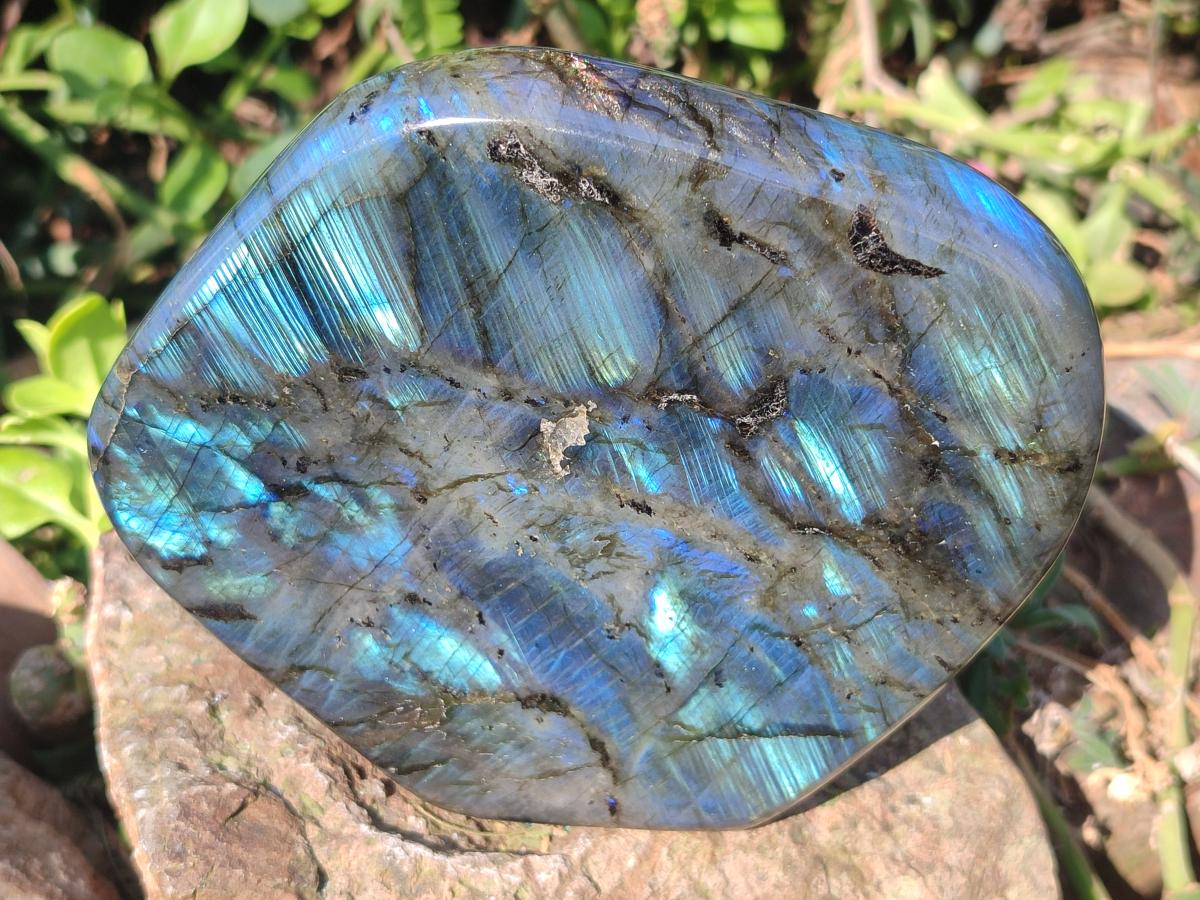 Polished Labradorite Standing Display Pieces x 3 From Madagascar - Toprock Gemstones and Minerals 