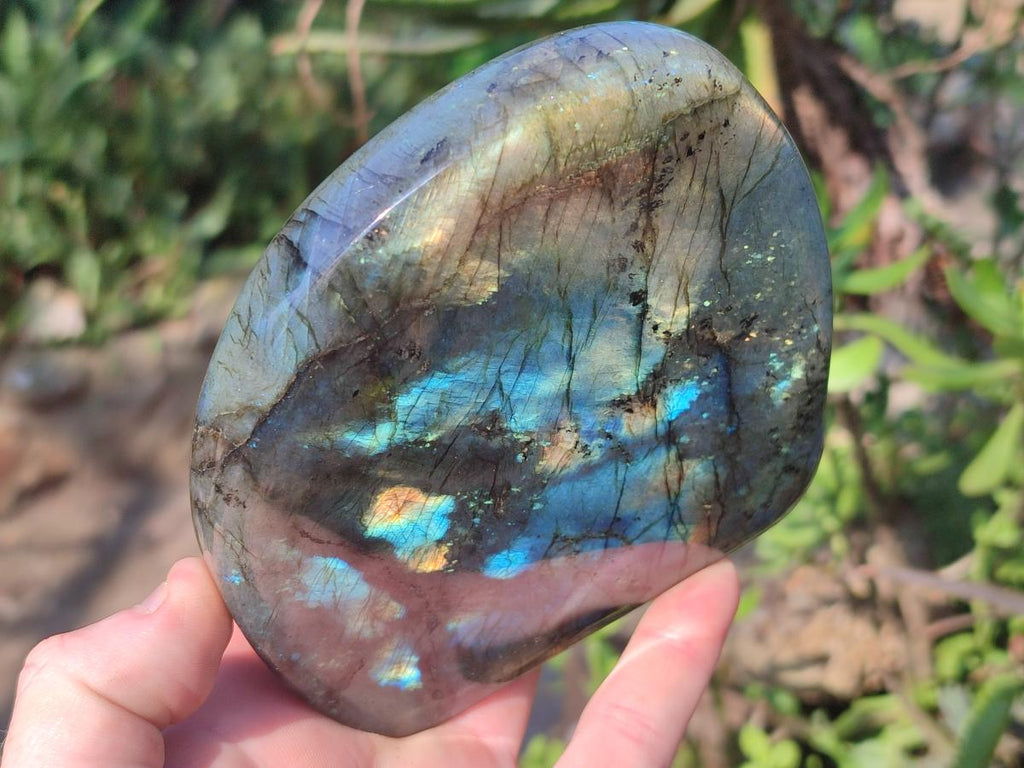 Polished Labradorite Standing Display Pieces x 3 From Madagascar - Toprock Gemstones and Minerals 