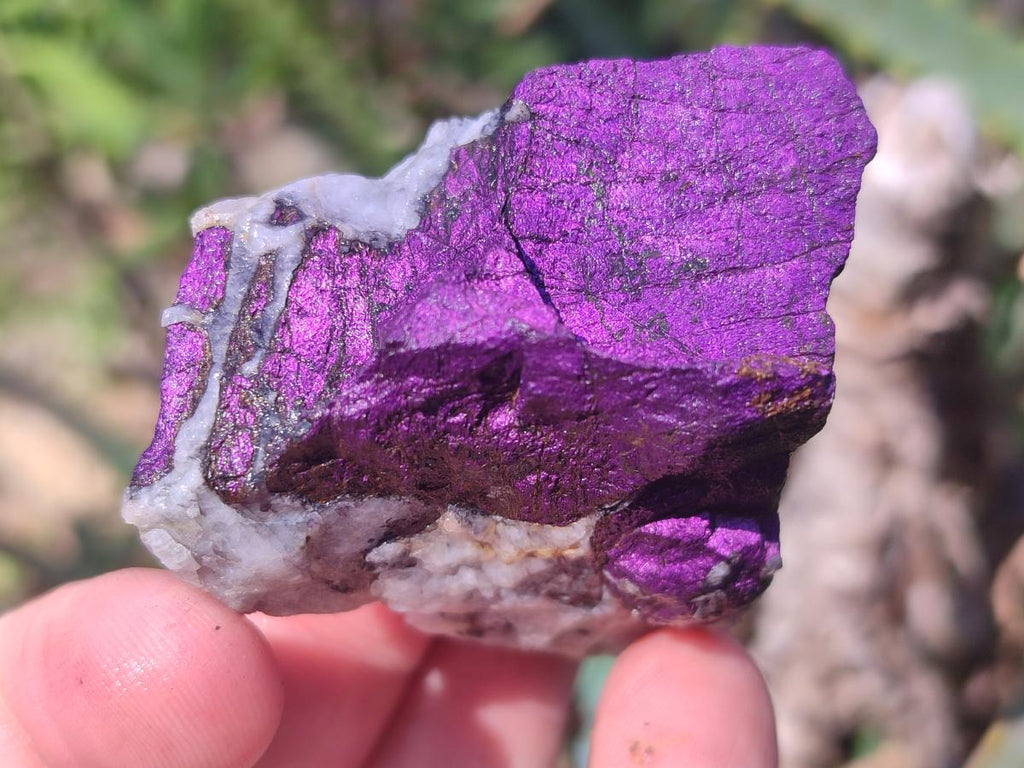 Natural Metallic Cobbed Purpurite Specimens x 12 From Erongo, Namibia - Toprock Gemstones and Minerals 