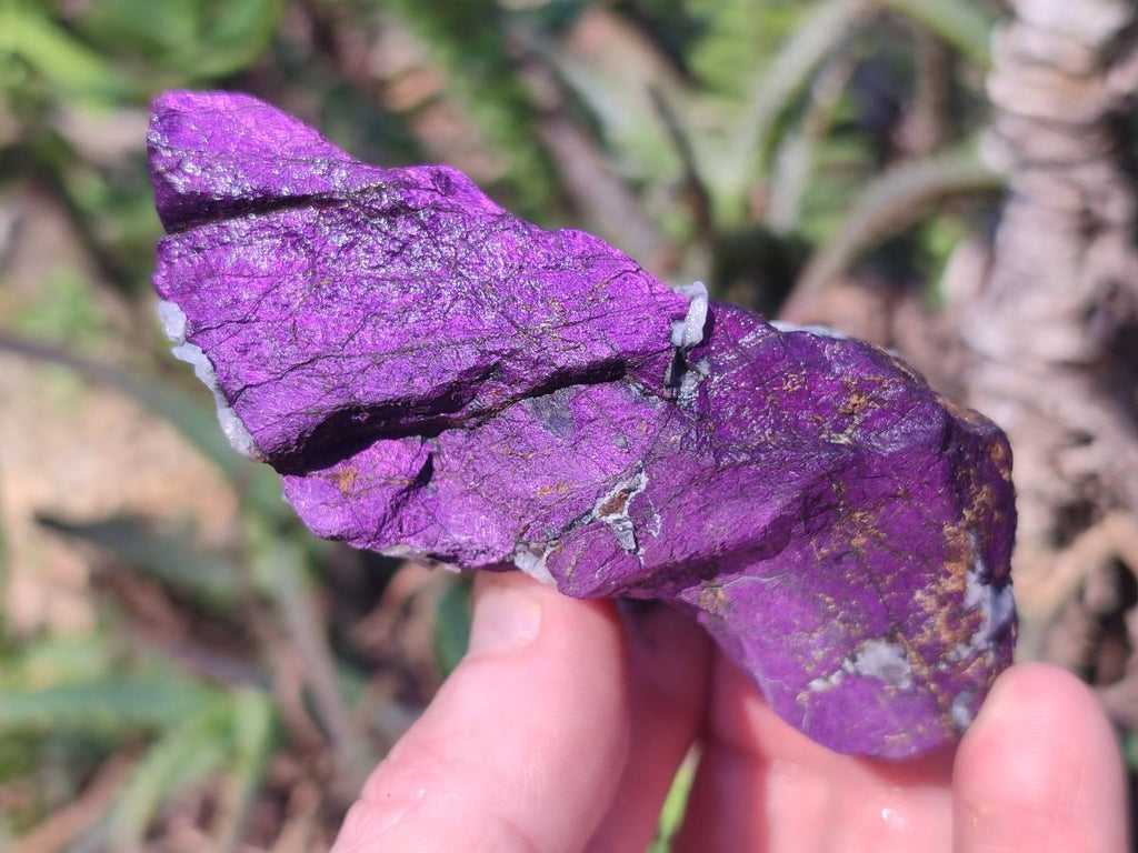 Natural Metallic Cobbed Purpurite Specimens x 12 From Erongo, Namibia - Toprock Gemstones and Minerals 