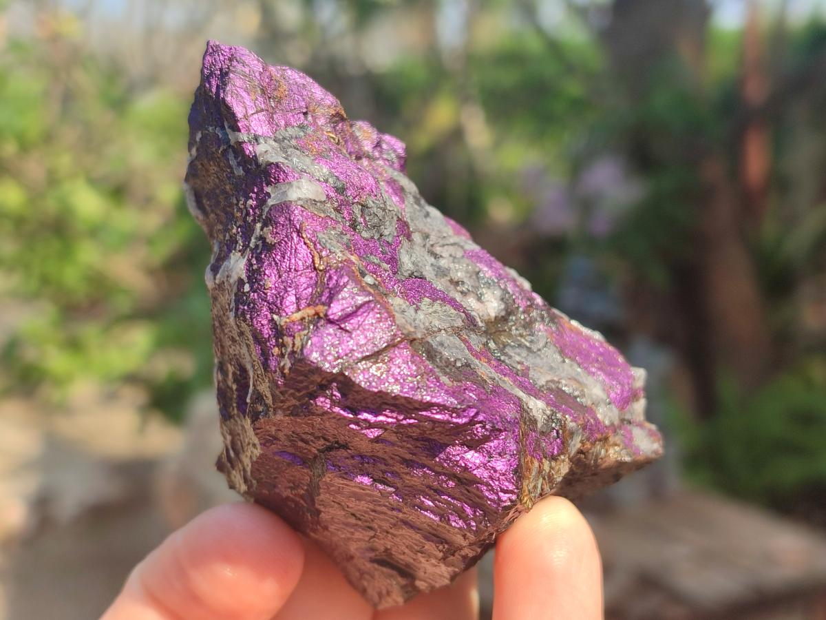 Natural Metallic Cobbed Purpurite Specimens x 12 From Erongo, Namibia - Toprock Gemstones and Minerals 