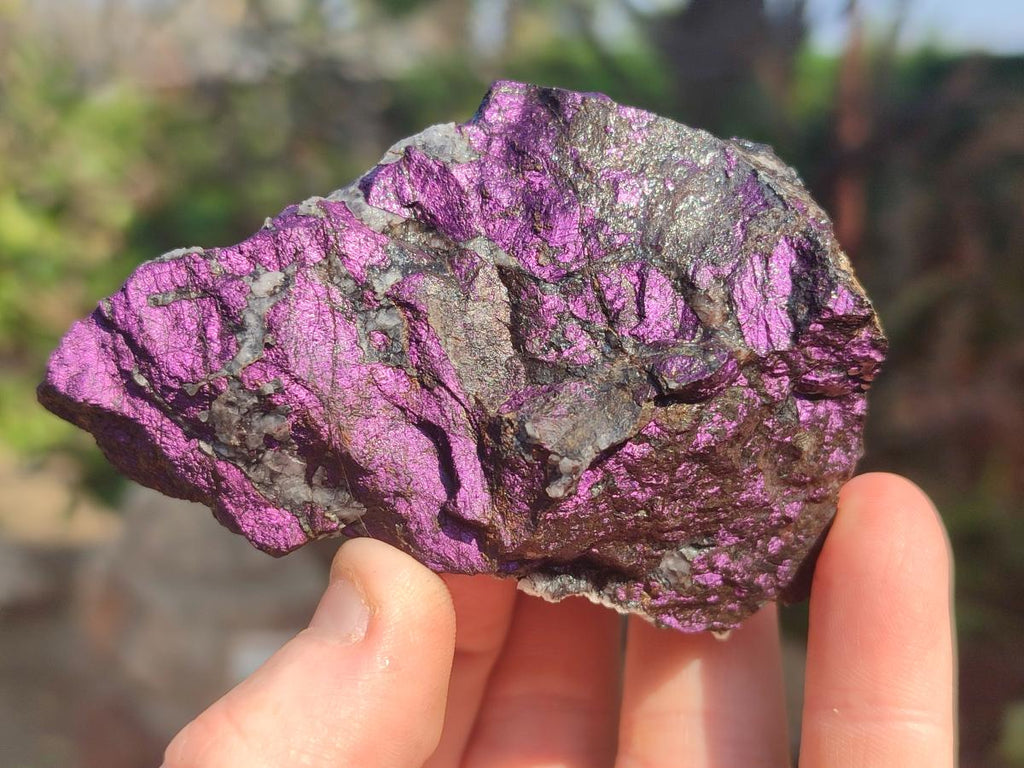 Natural Metallic Cobbed Purpurite Specimens x 12 From Erongo, Namibia - Toprock Gemstones and Minerals 