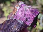 Natural Metallic Cobbed Purpurite Specimens x 12 From Erongo, Namibia - Toprock Gemstones and Minerals 