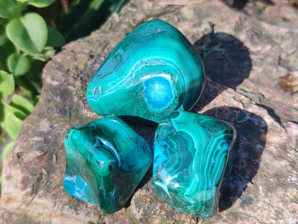 Polished Malacolla Free Forms x 35 From Kulukuluku, Congo - Toprock Gemstones and Minerals 