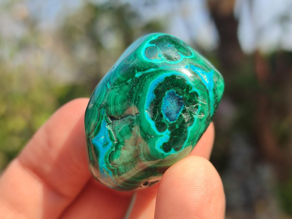 Polished Malacolla Free Forms x 35 From Kulukuluku, Congo - Toprock Gemstones and Minerals 