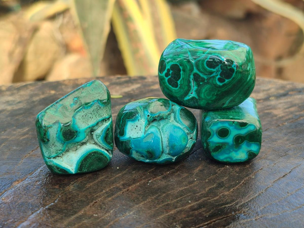 Polished Malacolla Free Forms x 35 From Kulukuluku, Congo - Toprock Gemstones and Minerals 