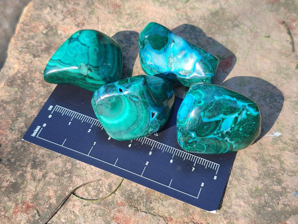 Polished Malacolla Free Forms x 35 From Kulukuluku, Congo - Toprock Gemstones and Minerals 