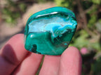 Polished Malacolla Free Forms x 35 From Kulukuluku, Congo - Toprock Gemstones and Minerals 