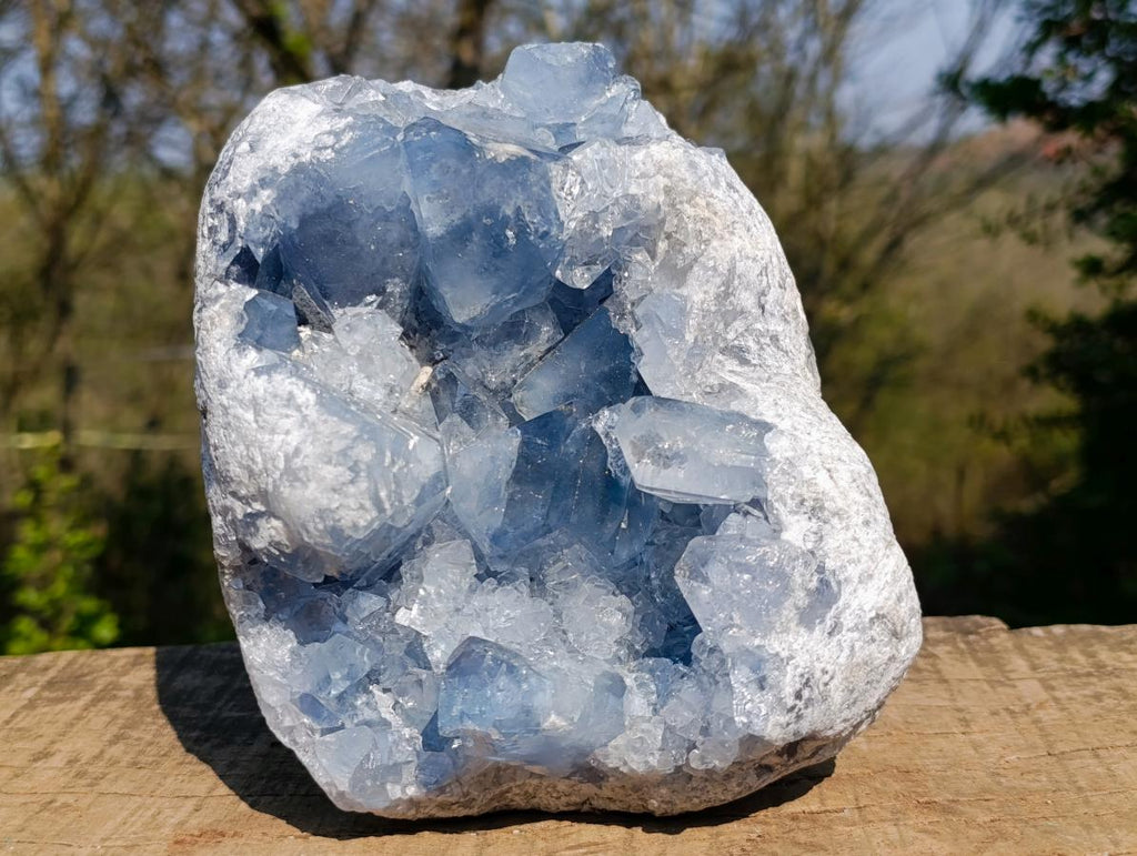 Natural Large Blue Celestite Specimen x 1 From Sakoany, Madagascar - Toprock Gemstones and Minerals 