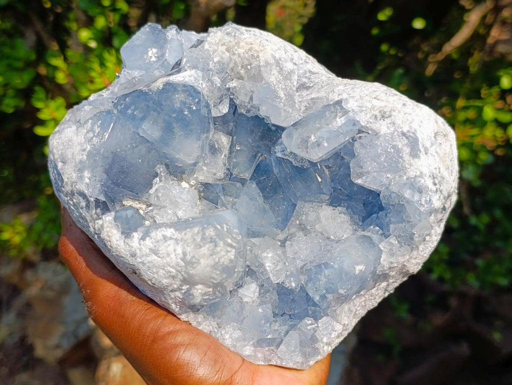 Natural Large Blue Celestite Specimen x 1 From Sakoany, Madagascar - Toprock Gemstones and Minerals 