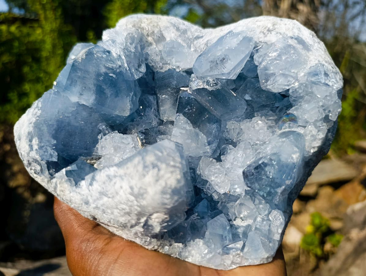 Natural Large Blue Celestite Specimen x 1 From Sakoany, Madagascar - Toprock Gemstones and Minerals 