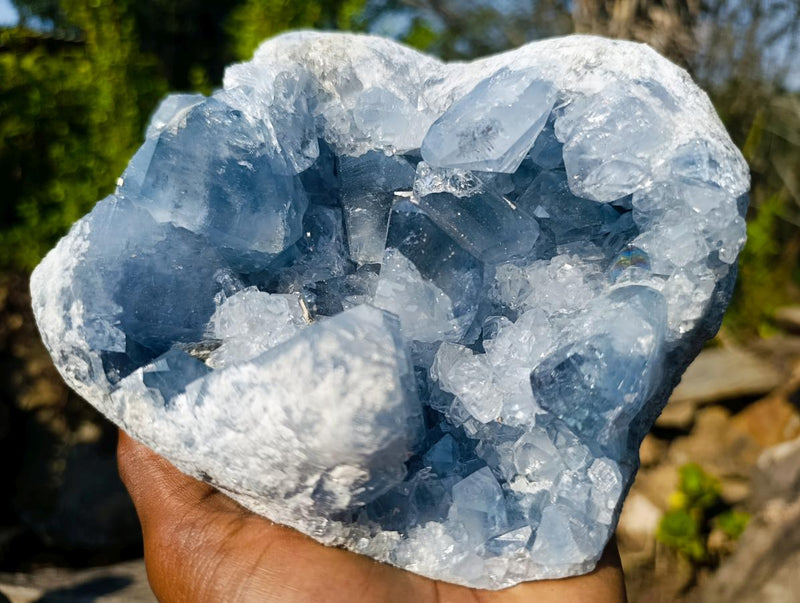 Natural Large Blue Celestite Specimen x 1 From Sakoany, Madagascar - Toprock Gemstones and Minerals 