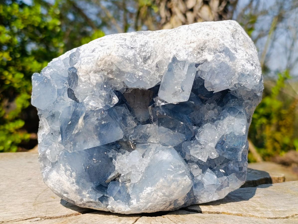 Natural Large Blue Celestite Specimen x 1 From Sakoany, Madagascar - Toprock Gemstones and Minerals 