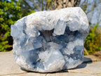 Natural Large Blue Celestite Specimen x 1 From Sakoany, Madagascar - Toprock Gemstones and Minerals 