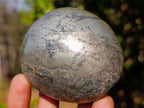 Polished Basalt Pharaoh Stone Free Forms x 4 From Iron Duke Mine, Zimbabwe - Toprock Gemstones and Minerals 