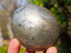 Polished Basalt Pharaoh Stone Free Forms x 4 From Iron Duke Mine, Zimbabwe - Toprock Gemstones and Minerals 