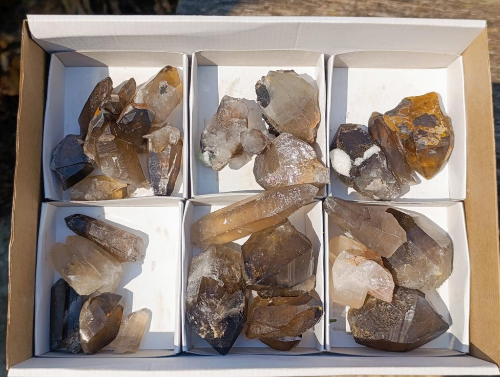 Natural Smokey Quartz Crystals x 26 From Erongo, Namibia - Toprock Gemstones and Minerals 