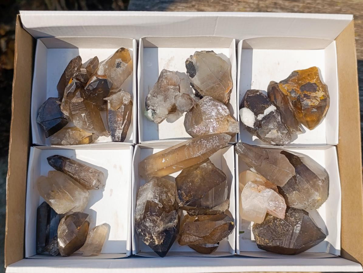 Natural Smokey Quartz Crystals x 26 From Erongo, Namibia - Toprock Gemstones and Minerals 