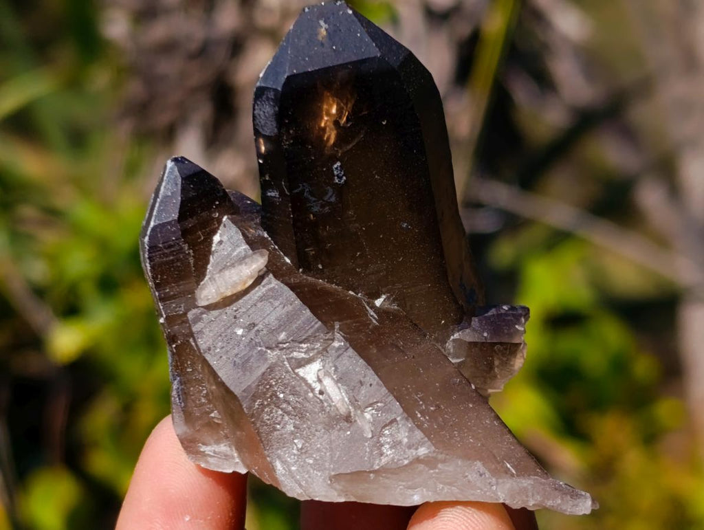 Natural Smokey Quartz Crystals x 26 From Erongo, Namibia - Toprock Gemstones and Minerals 